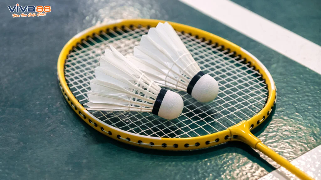 cách chơi cá cược cầu lông