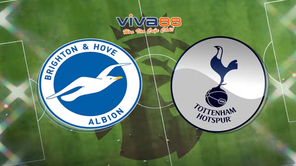 Soi kèo Brighton vs Tottenham, 22h30 ngày 06/10/2024