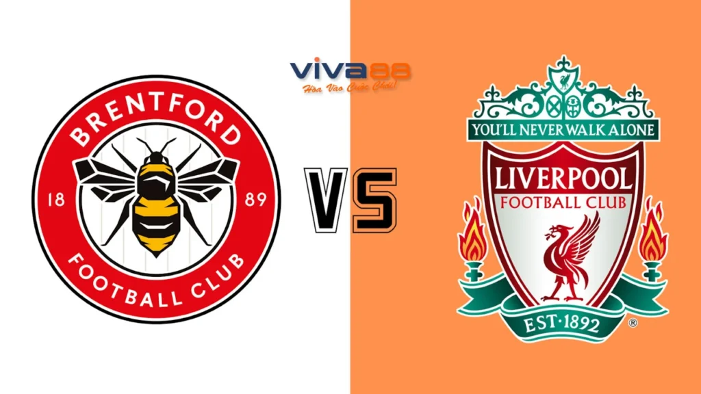 Nhận định Brentford vs Liverpool, 22h00 ngày 18/01/2025