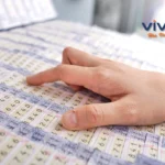 Hướng dẫn cách soi cầu lô hình quả trám trong lô đề